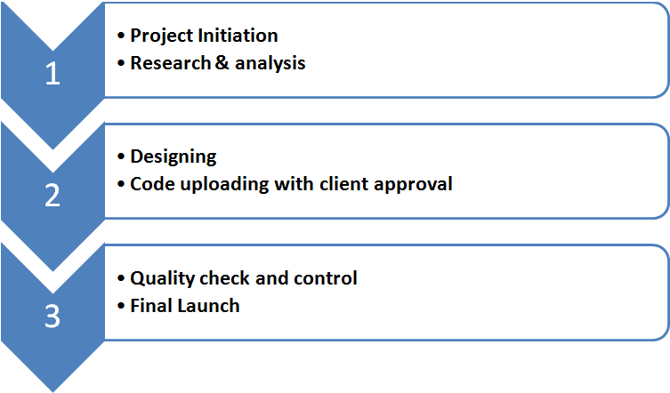 Process of our Web Designing service